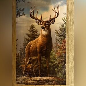 Worth Every “Buck” 40×65” Extra Long Extremely Soft Throw